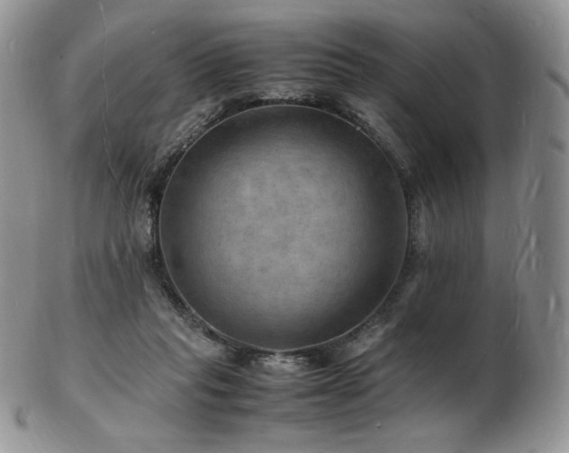 X0000103250261200808281510