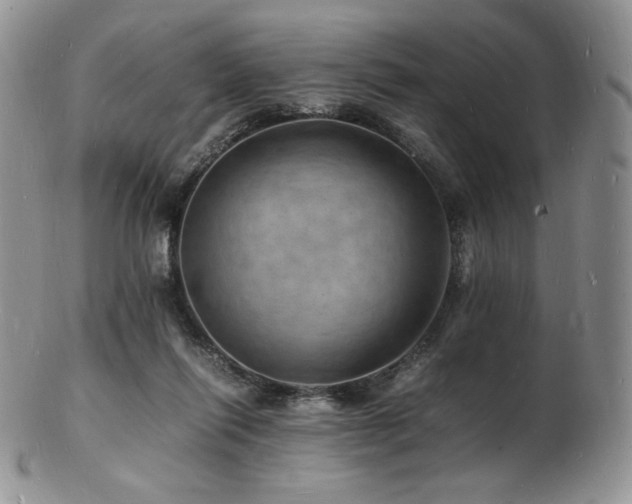 X0000103250262200808281510