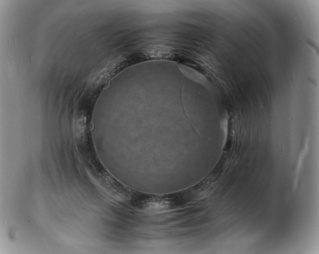 X0000103250263200808281510