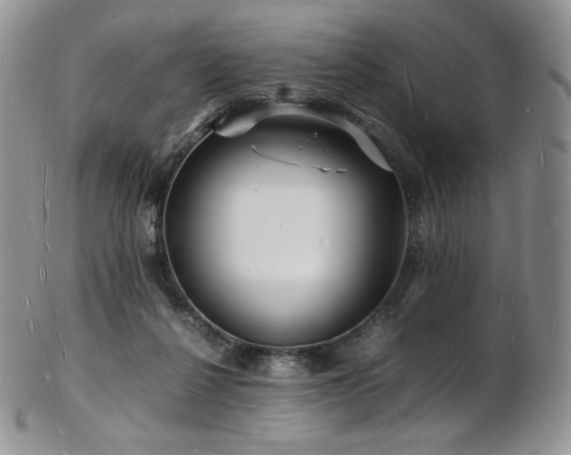 X0000103250264200808281510