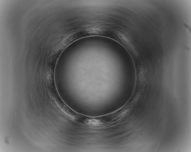 X0000103250265200808281510
