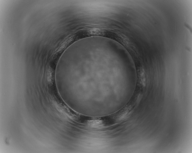X0000103250266200808281510
