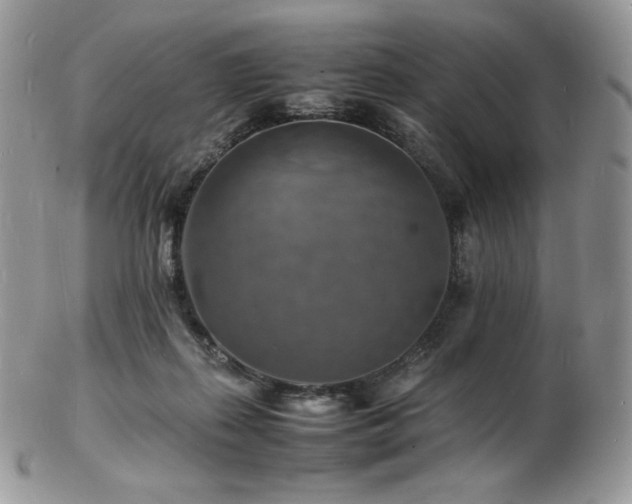 X0000103250267200808281510