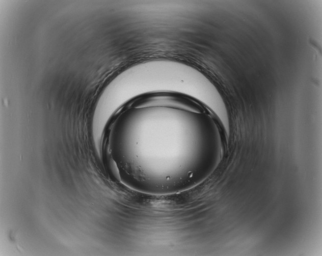 X0000103250268200808281510