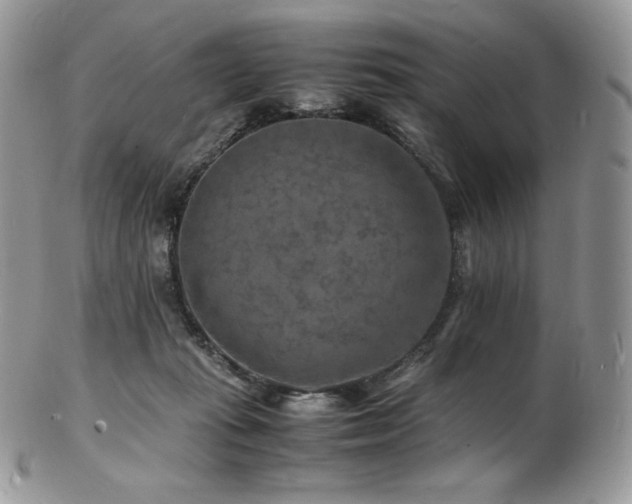 X0000103250269200808281510