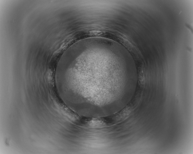 X0000103250270200808281510