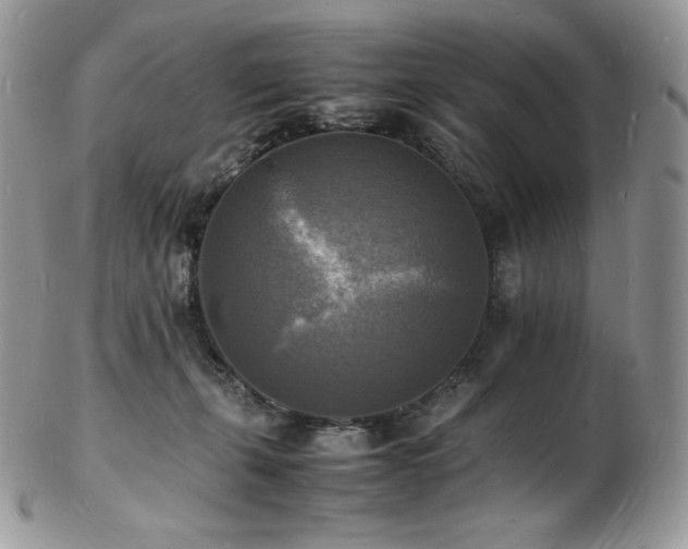 X0000103250271200808281510