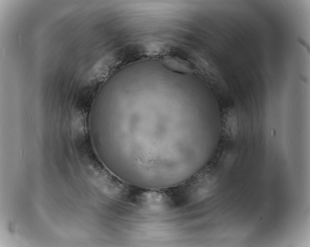 X0000103250272200808281510