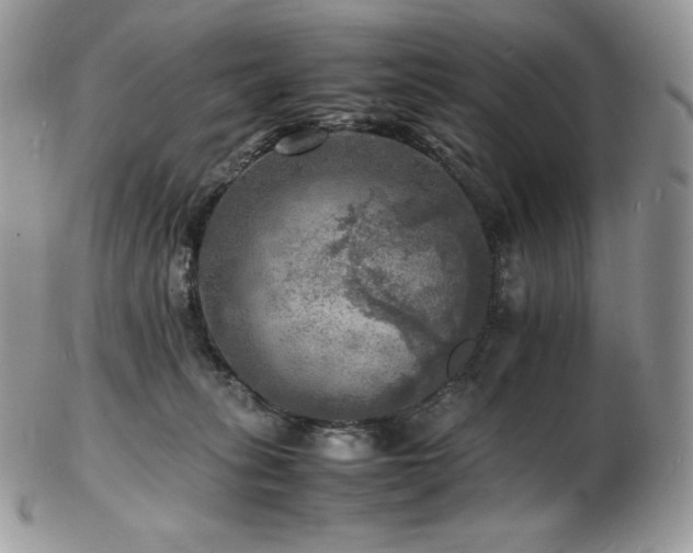X0000103250275200808281510