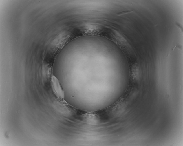 X0000103250276200808281510