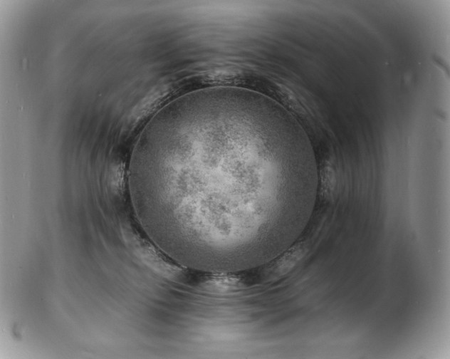 X0000103250278200808281510