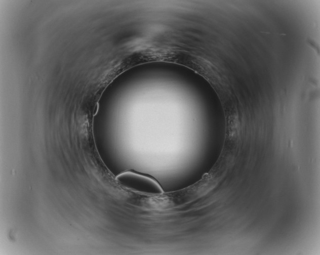 X0000103250279200808281510