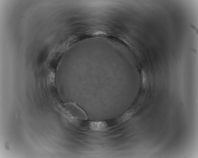 X0000103250281200808281510