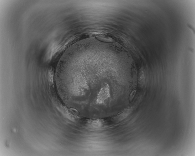 X0000103250282200808281510