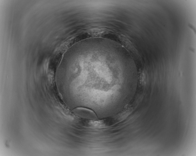 X0000103250283200808281510