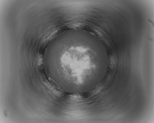 X0000103250284200808281510