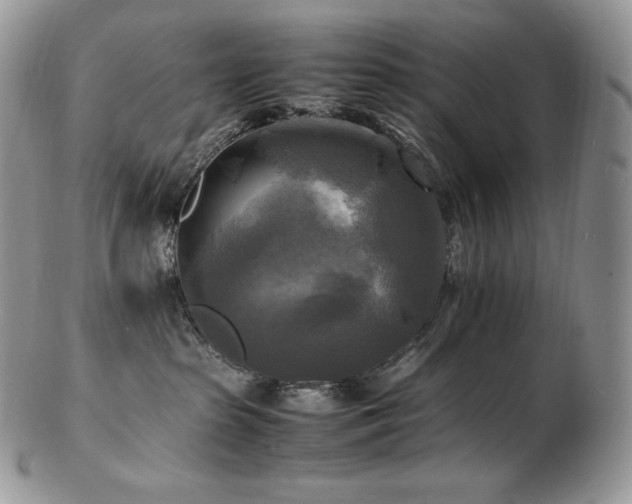 X0000103250285200808281510