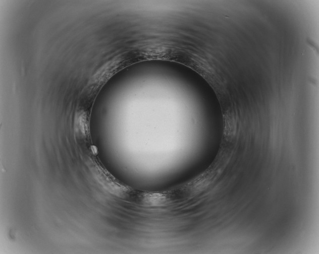 X0000103250287200808281510