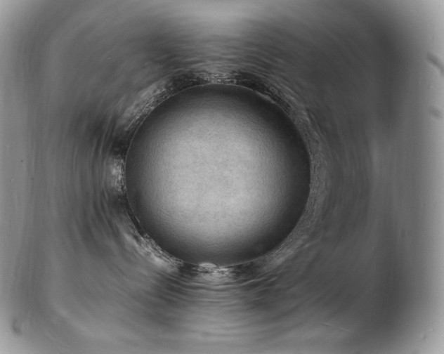 X0000103250288200808281510