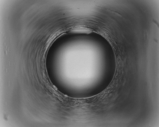 X0000103250289200808281510