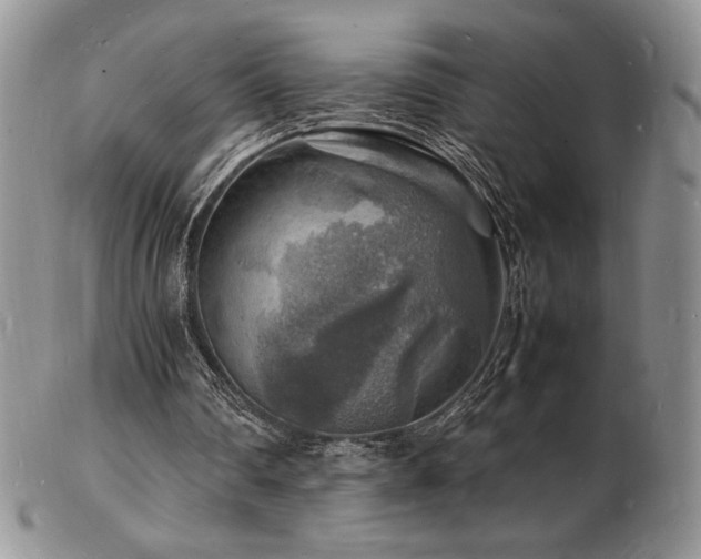 X0000103250290200808281510