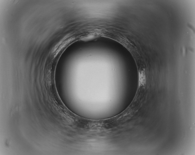 X0000103250291200808281510