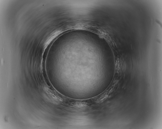 X0000103250292200808281510