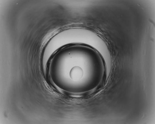 X0000103250293200808281509