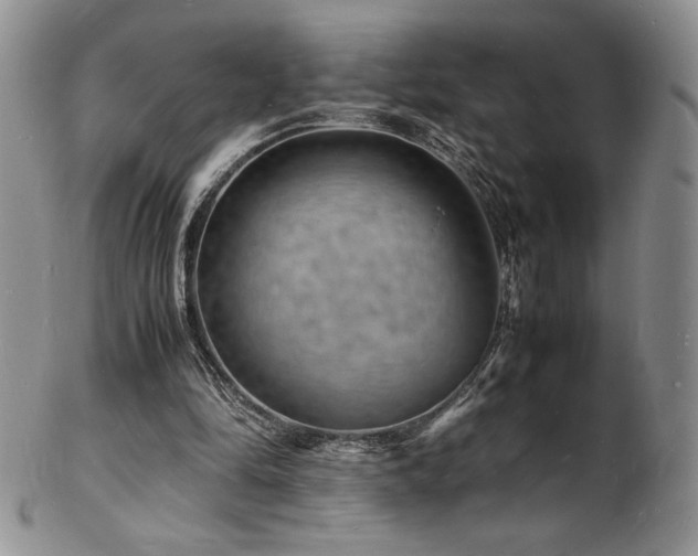 X0000103250294200808281509