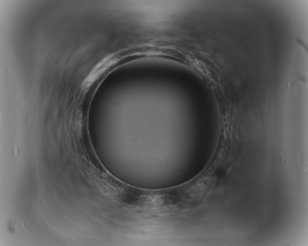 X0000103250295200808281509