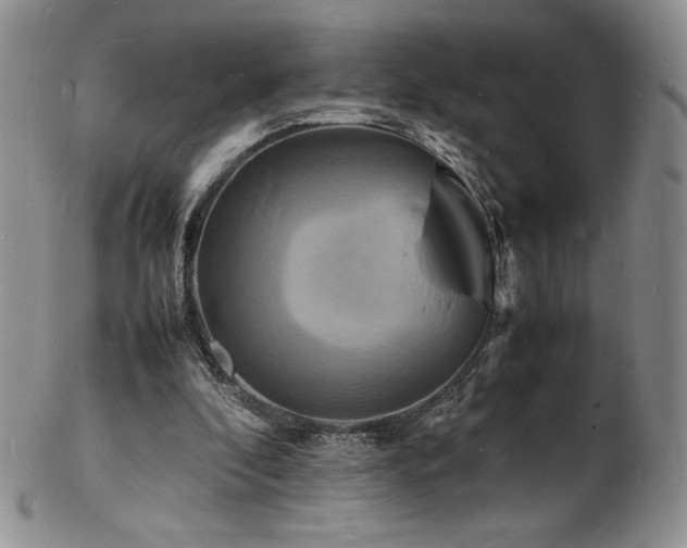 X0000103250296200808281509