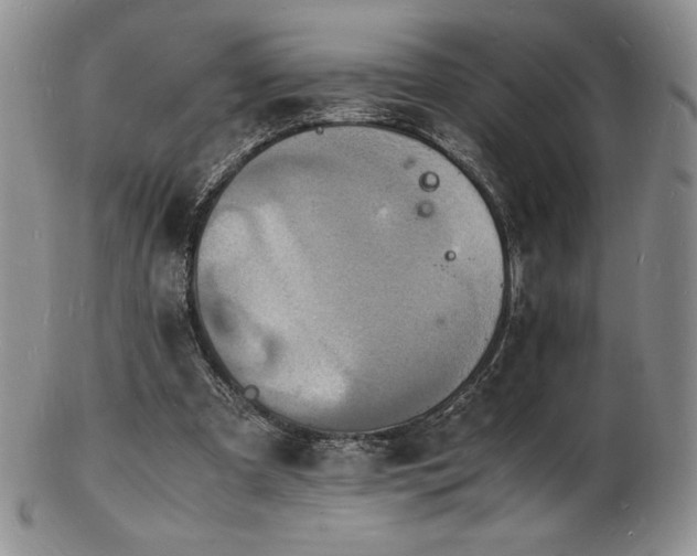 X0000103250297200808281509