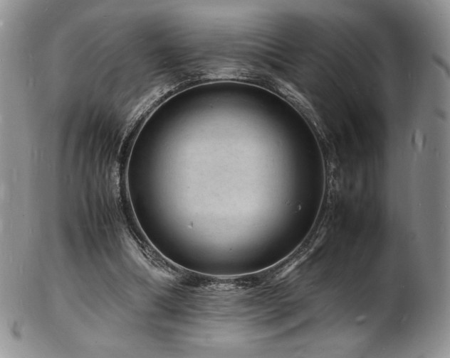 X0000103250298200808281509