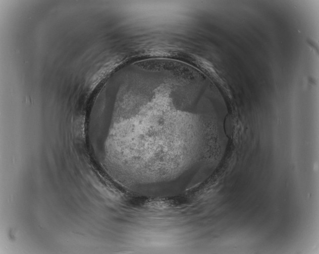 X0000103250299200808281509