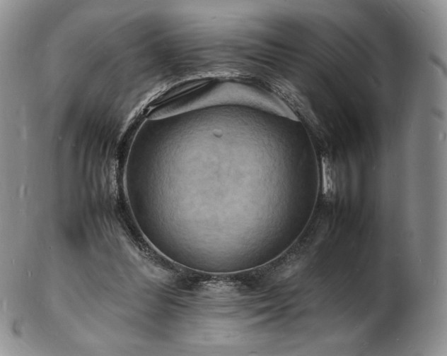 X0000103250300200808281509