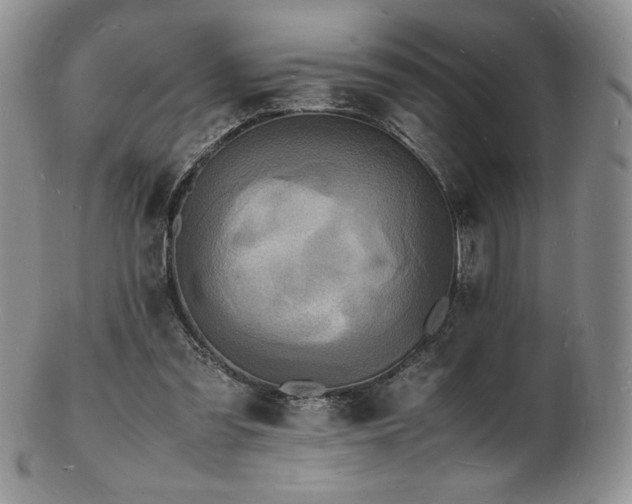 X0000103250301200808281509