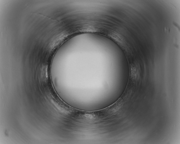 X0000103250302200808281509