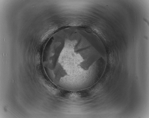 X0000103250303200808281509