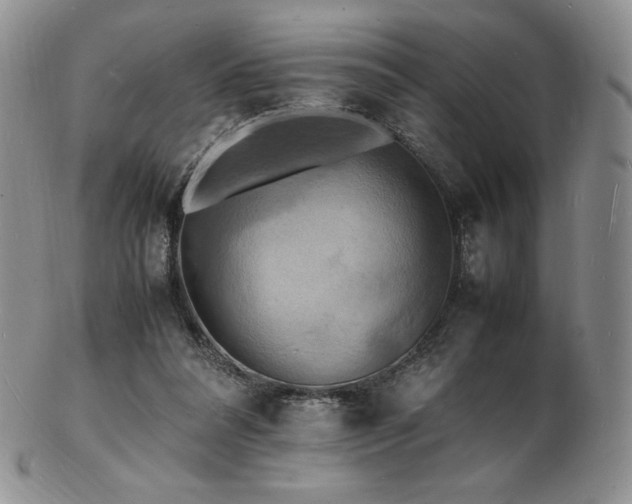 X0000103250304200808281509