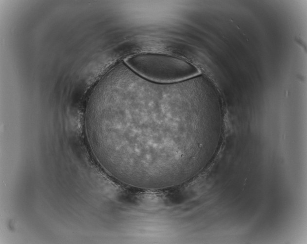 X0000103250305200808281509