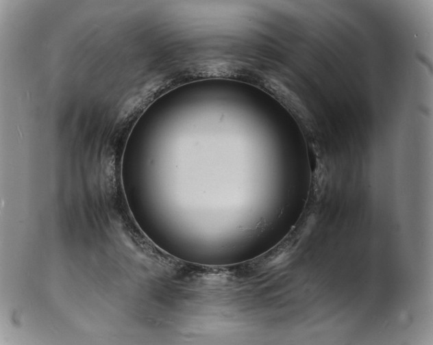 X0000103250306200808281509