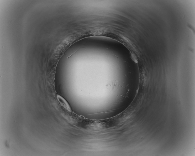 X0000103250307200808281509