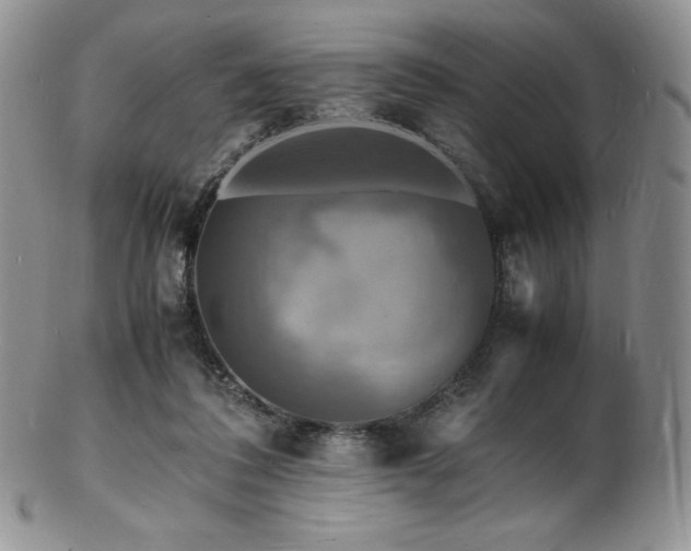 X0000103250308200808281509