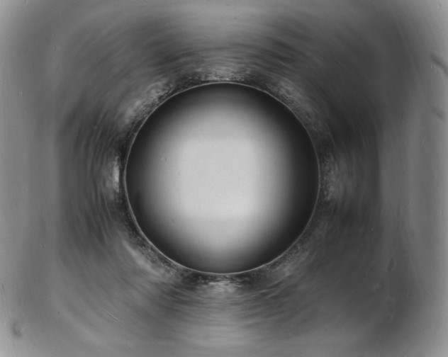 X0000103250310200808281509