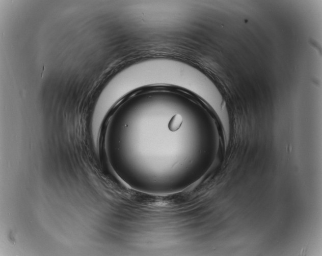 X0000103250312200808281509