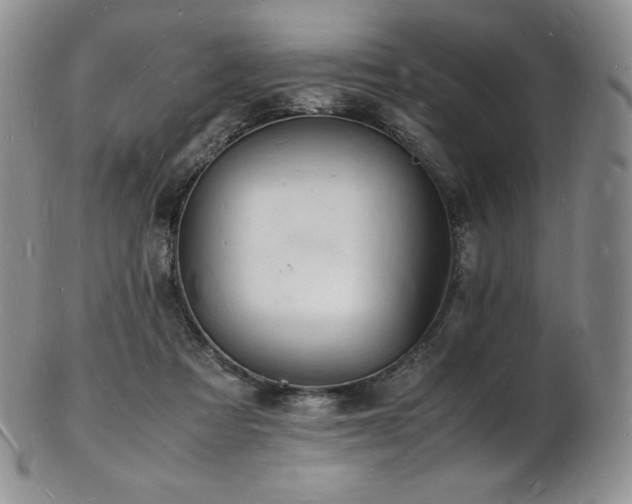 X0000103250313200808281509