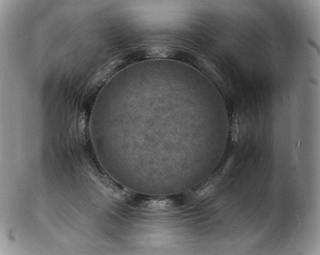 X0000103250314200808281509