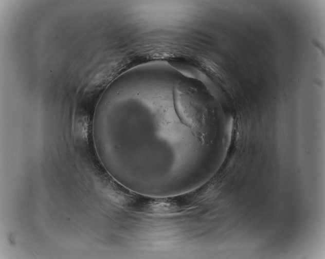 X0000103250315200808281509
