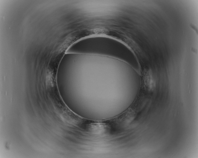 X0000103250316200808281509