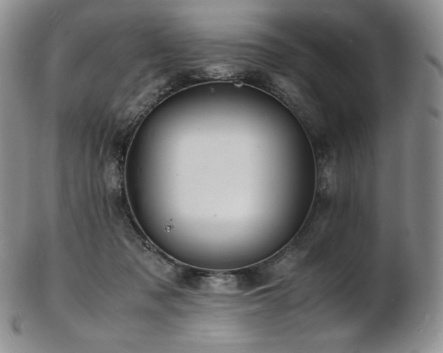 X0000103250317200808281509